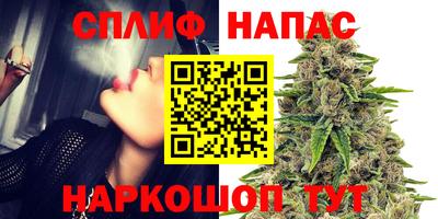 ГАЛЛЮЦИНОГЕННЫЕ ГРИБЫ Чебаркуль