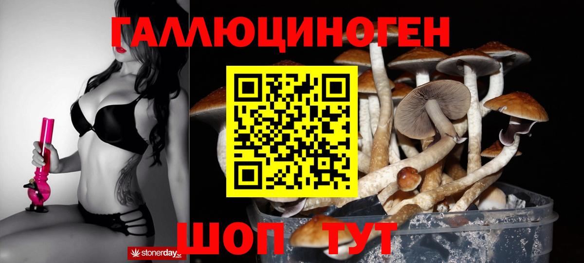 Элиста  Псилоцибиновые грибы Magic Shrooms  Вход с VPN 